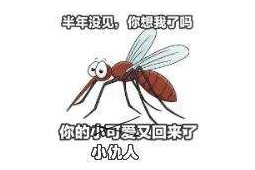 老板一夜血亏多万竟因灭蚊惹祸