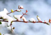 春分时节捂对部位更健康春捂牢记这三点