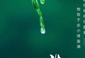 小满节气养生保健与疾病防治专家解答