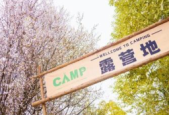 国产电影带动文旅热潮春日旅游解锁新玩法