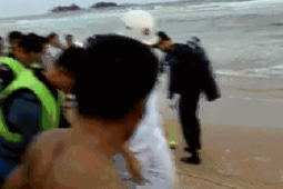 夏天海边看到这个立刻跑别用手碰