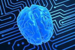人工智能赋能阿尔茨海默症早筛助力科学早期干预
