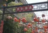 海内外青年创客聚首扬州古运河畔共绘文旅融合新图景