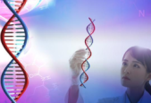 中国科学家联合破解细胞膜脆弱密码
