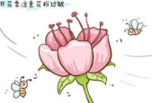 春季花粉过敏高发应对指南