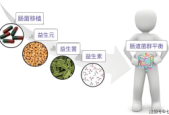 免疫力追求平衡而非极致