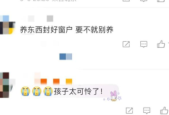 天降乌龟砸中幼童致死头顶安全无小事