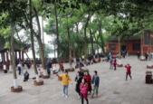 清明假期健康指南：重点预防六大方面