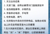 台风避险防范指南请收好