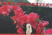 三维赋能启新篇广西猫儿山高山杜鹃花文化旅游季盛装开幕