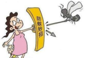 蚊子叮咬快速止痒四法愿君无恙