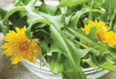 这些食物可能是结节催化剂一定要管住嘴