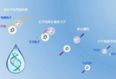 重离子治癌中国科学家领衔揭示微观机理