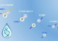 重离子治癌中国科学家领衔揭示微观机理