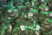 五一这五类人最好别出门原因让人意想不到