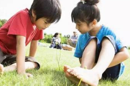 夏天这些习惯正在悄悄让你变笨