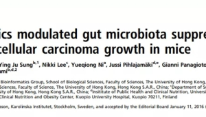 香港大学研究团队开发突破性癌症免疫新疗法  第1张