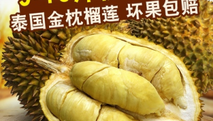 斤榴莲斤核买金枕当心甲仑  第1张