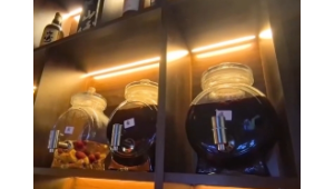 "中药调酒引热议养生补品还是智商税"  第1张