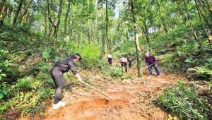 科普力量助力粤北山区乡村振兴  第1张
