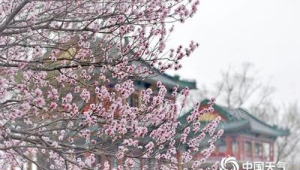 天津官宣入春时间较常年提前天  第1张