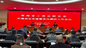 青海省市场与乡镇商会发展实现零突破  第1张