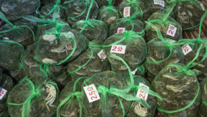 五一这五类人最好别出门原因让人意想不到  第1张