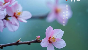 甘肃甘州春天的故事仍在延续