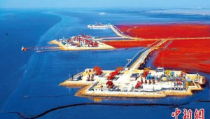 辽河油田开发建设周年成为中国能源大动脉重要枢纽  第1张