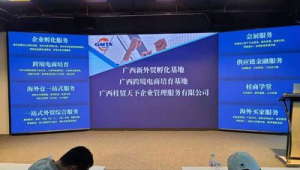 跨境电商助力广西药企开拓东盟新市场  第1张