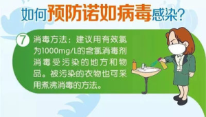 预防诺如病毒感染牢记这五点  第1张