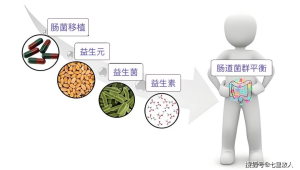免疫力追求平衡而非极致  第1张