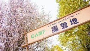 国产电影带动文旅热潮春日旅游解锁新玩法  第1张