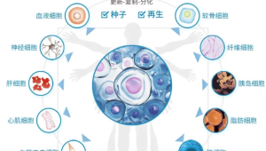 中国首例自体干细胞疗法成功助力帕金森病患者全天自主行走  第1张