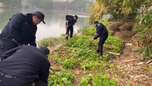 广西精准治理漓江支流全力保障水环境安全  第1张