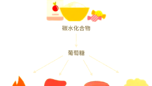 躺进高科技人体能量舱就能消除结节降血压  第1张
