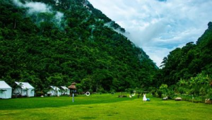 傣医药赋能西双版纳康养旅居目的地建设  第1张