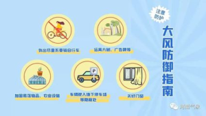 大风天气如何做好健康防护  第1张