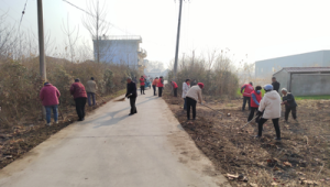节假期第二天各地祭扫活动平稳有序  第1张
