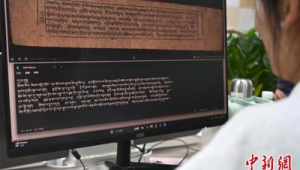 藏族IT青年返乡助力古籍数字化与菌菇产业升级  第1张