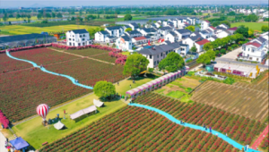 低空经济赋能乡村振兴新路径  第1张