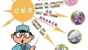 春季花粉过敏高发季防护指南  第1张