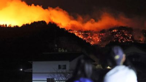 山西壶关山火火情已基本得到控制  第1张