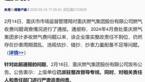 重庆燃气对相关责任人和责任部门进行追责问责  第1张