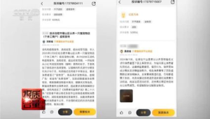 免费送猫背后的天价陷阱揭秘  第1张