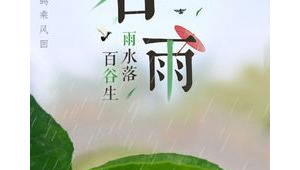 谷雨节气是种瓜点豆的最佳时节  第1张