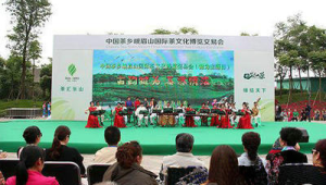 四川马边茶旅融合绘就民族团结新画卷