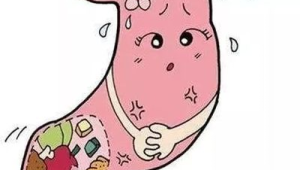 注意这些行为看似养胃其实伤胃  第1张
