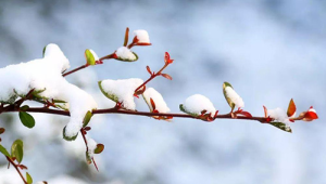 春分时节捂对部位更健康春捂牢记这三点  第1张