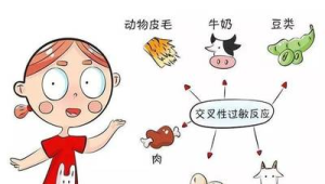 过敏是因为免疫力差吗  第1张